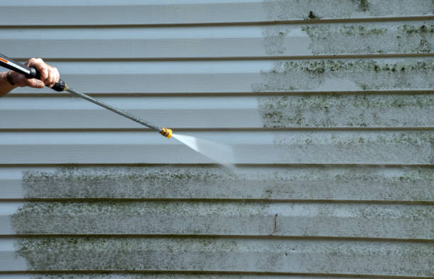 Best Commercial Building Pressure Washing  in Black Jack, MO
