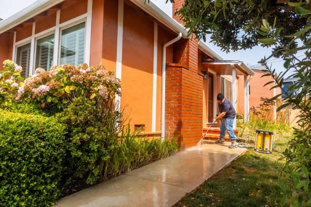 Best Pressure Washing Company Near Me  in Black Jack, MO